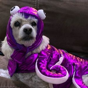 Meet your Posher, Rae